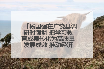 杨国强在广饶县调研时强调 把学习教育成果转化为高质量发展成效 推动经济稳健向好进中提质