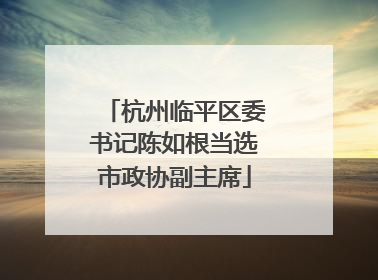 杭州临平区委书记陈如根当选市政协副主席