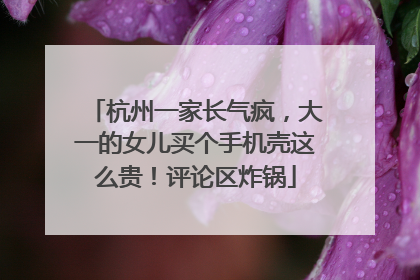 杭州一家长气疯，大一的女儿买个手机壳这么贵！评论区炸锅