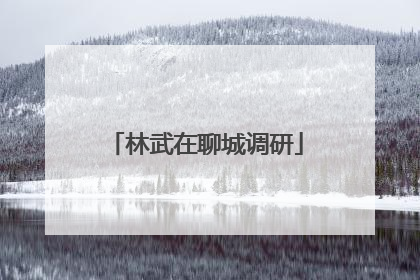 林武在聊城调研