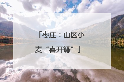 枣庄：山区小麦“喜开镰”