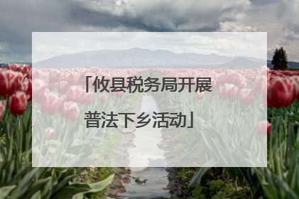 攸县税务局开展普法下乡活动