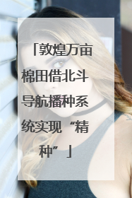 敦煌万亩棉田借北斗导航播种系统实现“精种”
