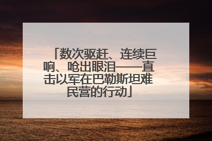 数次驱赶、连续巨响、呛出眼泪——直击以军在巴勒斯坦难民营的行动