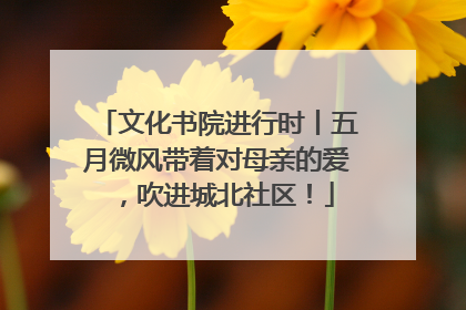 文化书院进行时丨五月微风带着对母亲的爱，吹进城北社区！
