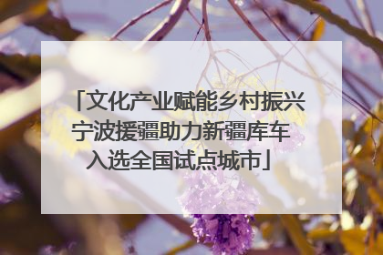 文化产业赋能乡村振兴 宁波援疆助力新疆库车入选全国试点城市