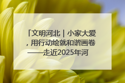 文明河北｜小家大爱，用行动绘就和谐画卷——走近2025年河北省“最美家庭”