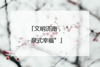 文明济南，“泉式幸福”