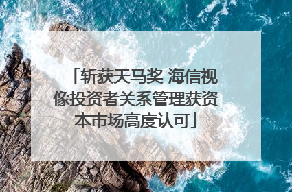 斩获天马奖 海信视像投资者关系管理获资本市场高度认可