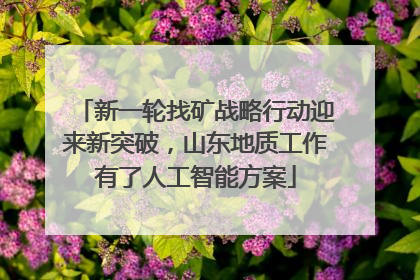 新一轮找矿战略行动迎来新突破，山东地质工作有了人工智能方案