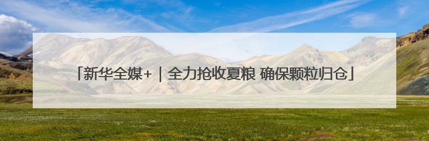 新华全媒+｜全力抢收夏粮 确保颗粒归仓