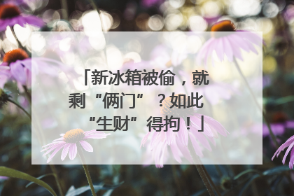 新冰箱被偷，就剩“俩门”？如此“生财”得拘！