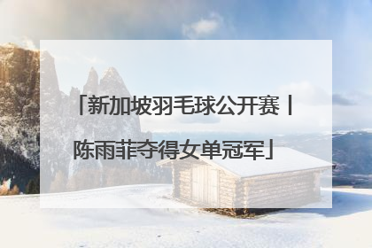 新加坡羽毛球公开赛丨陈雨菲夺得女单冠军