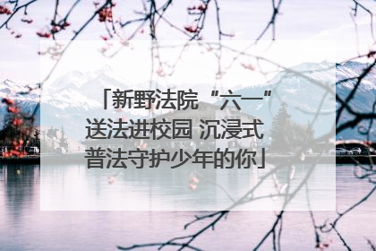 新野法院“六一”送法进校园 沉浸式普法守护少年的你