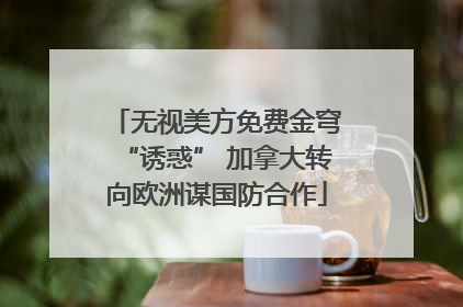 无视美方免费金穹“诱惑” 加拿大转向欧洲谋国防合作
