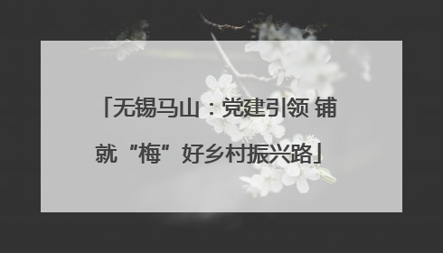 无锡马山：党建引领 铺就“梅”好乡村振兴路
