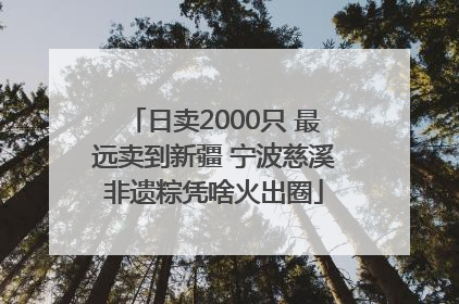 日卖2000只 最远卖到新疆 宁波慈溪非遗粽凭啥火出圈