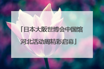 日本大阪世博会中国馆河北活动周精彩启幕
