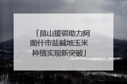昆山援疆助力阿图什市盐碱地玉米种植实现新突破