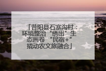 昔阳县石寨沟村：环境整治“绣出”生态画卷 “民宿+”撬动农文旅融合