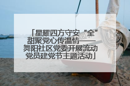 星耀四方守安“全” 甜聚党心传温情——舞阳社区党委开展流动党员建党节主题活动