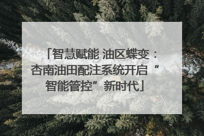 智慧赋能 油区蝶变：杏南油田配注系统开启“智能管控”新时代
