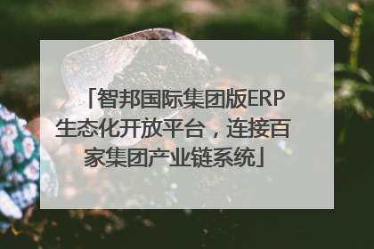 智邦国际集团版ERP生态化开放平台，连接百家集团产业链系统