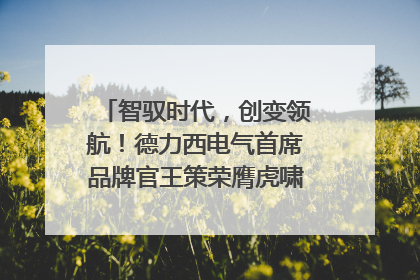 智驭时代，创变领航！德力西电气首席品牌官王策荣膺虎啸奖年度品牌人物