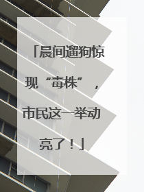 晨间遛狗惊现“毒株”，市民这一举动亮了！
