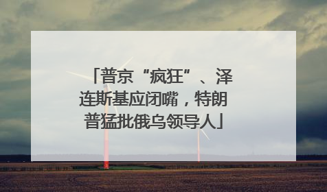普京“疯狂”、泽连斯基应闭嘴，特朗普猛批俄乌领导人