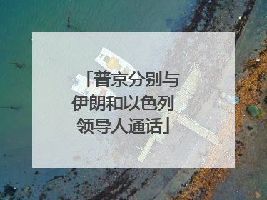 普京分别与伊朗和以色列领导人通话
