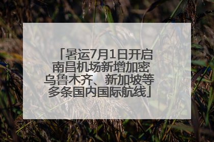 暑运7月1日开启 南昌机场新增加密乌鲁木齐、新加坡等多条国内国际航线