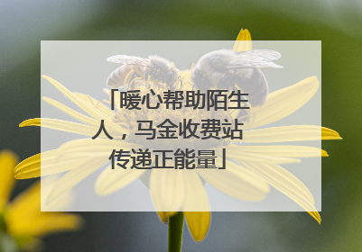 暖心帮助陌生人，马金收费站传递正能量