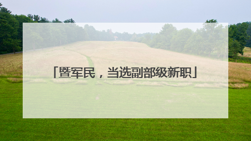 暨军民，当选副部级新职