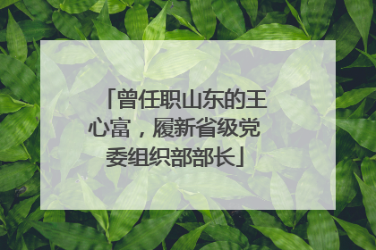 曾任职山东的王心富，履新省级党委组织部部长
