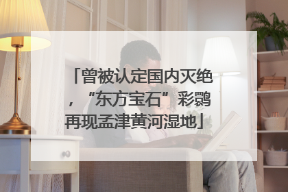 曾被认定国内灭绝，“东方宝石”彩鹮再现孟津黄河湿地