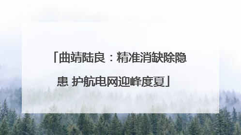 曲靖陆良：精准消缺除隐患 护航电网迎峰度夏