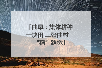 曲阜：集体耕种一块田 二张曲村“稻”路宽