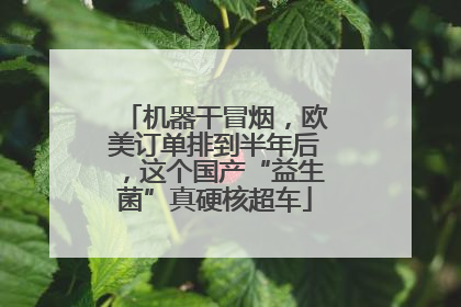 机器干冒烟，欧美订单排到半年后，这个国产“益生菌”真硬核超车
