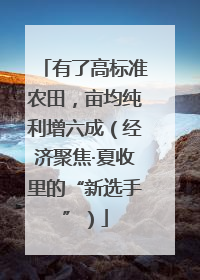 有了高标准农田，亩均纯利增六成（经济聚焦·夏收里的“新选手”）