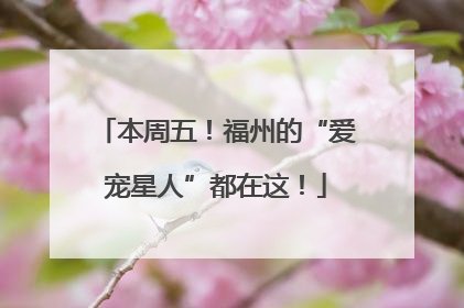 本周五！福州的“爱宠星人”都在这！