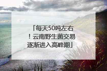 每天50吨左右！云南野生菌交易逐渐进入高峰期