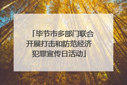 毕节市多部门联合开展打击和防范经济犯罪宣传日活动