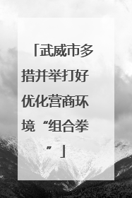 武威市多措并举打好优化营商环境“组合拳”