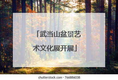 武当山盆景艺术文化展开展