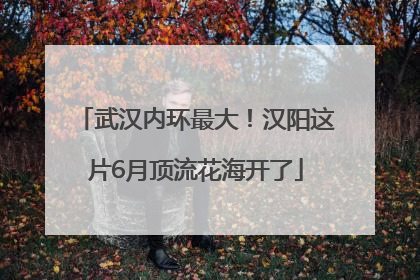 武汉内环最大！汉阳这片6月顶流花海开了