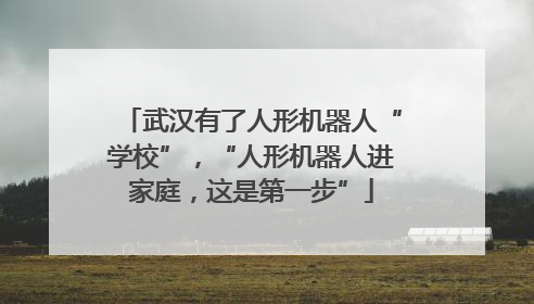 武汉有了人形机器人“学校”，“人形机器人进家庭，这是第一步”
