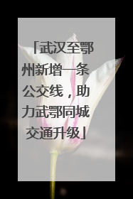 武汉至鄂州新增一条公交线，助力武鄂同城交通升级