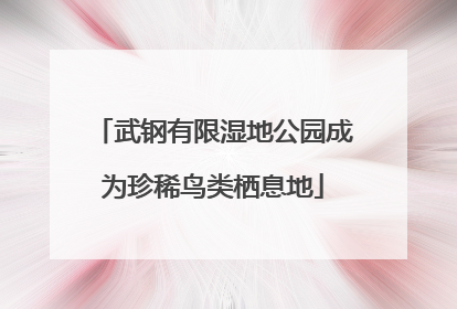 武钢有限湿地公园成为珍稀鸟类栖息地