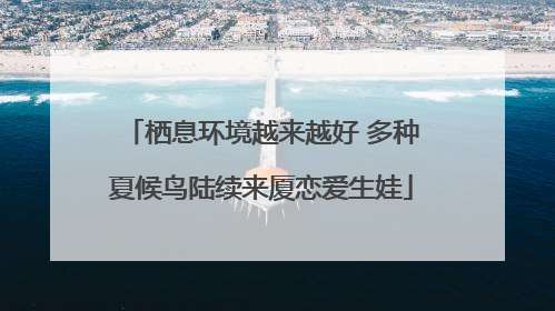 栖息环境越来越好 多种夏候鸟陆续来厦恋爱生娃
